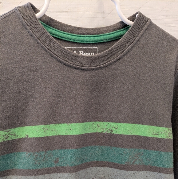 ✌🏻TWO L.L. Bean- Boys Sweatshirt Flannel W/ Hood & Long Sleeve T-shirt; Size: 4 - Picture 11 of 12
